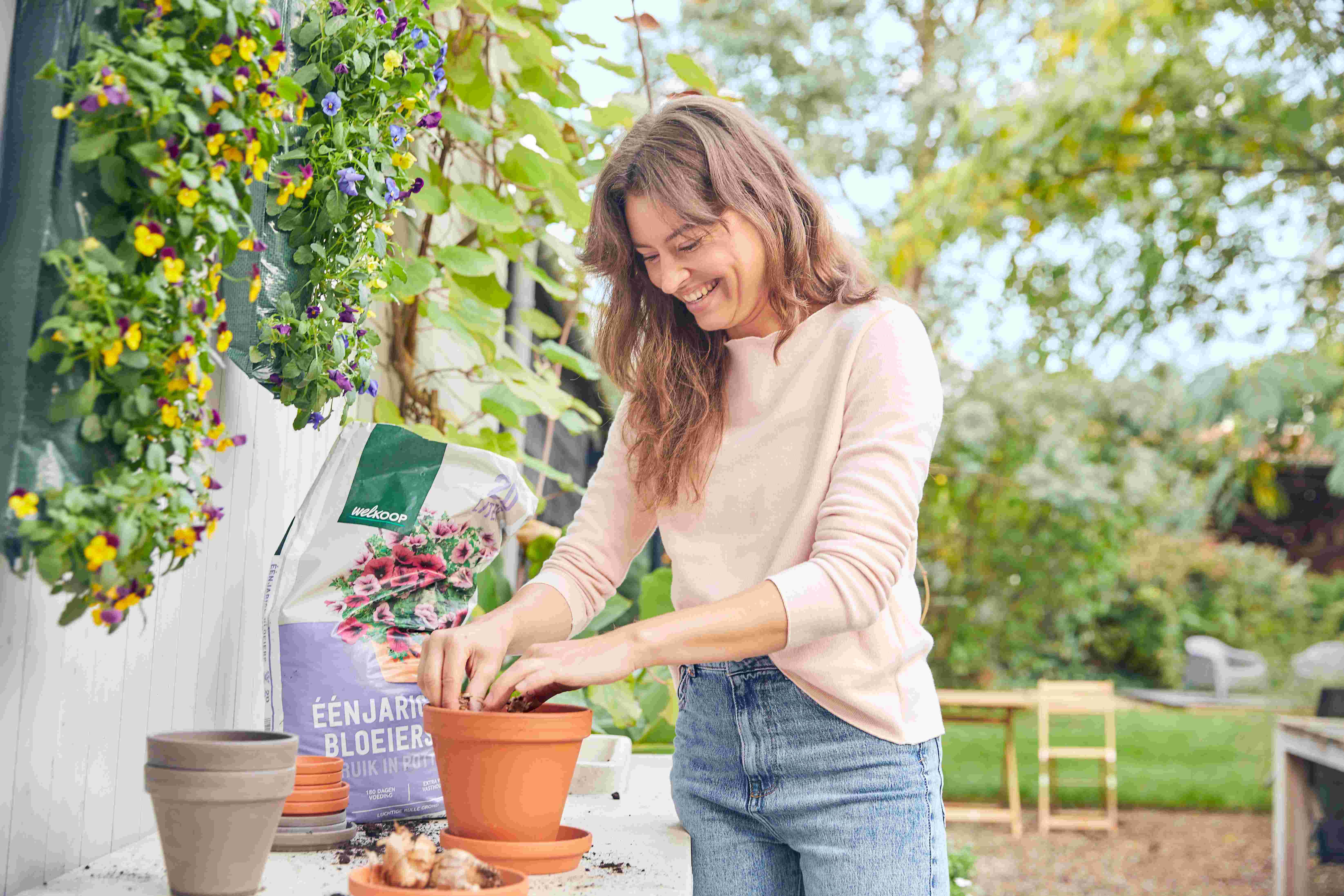 Zomerbollen planten - advies Welkoop